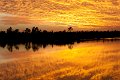 20121224-Everglades-0117