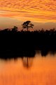 20121224-Everglades-0128