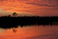 20121224-Everglades-0131